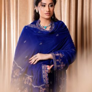 Royal Blue Velvet Embroidered Dress