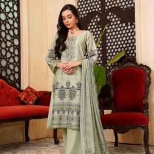 Embroidered Eastern Festive Dress